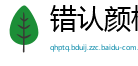 错认颜标网